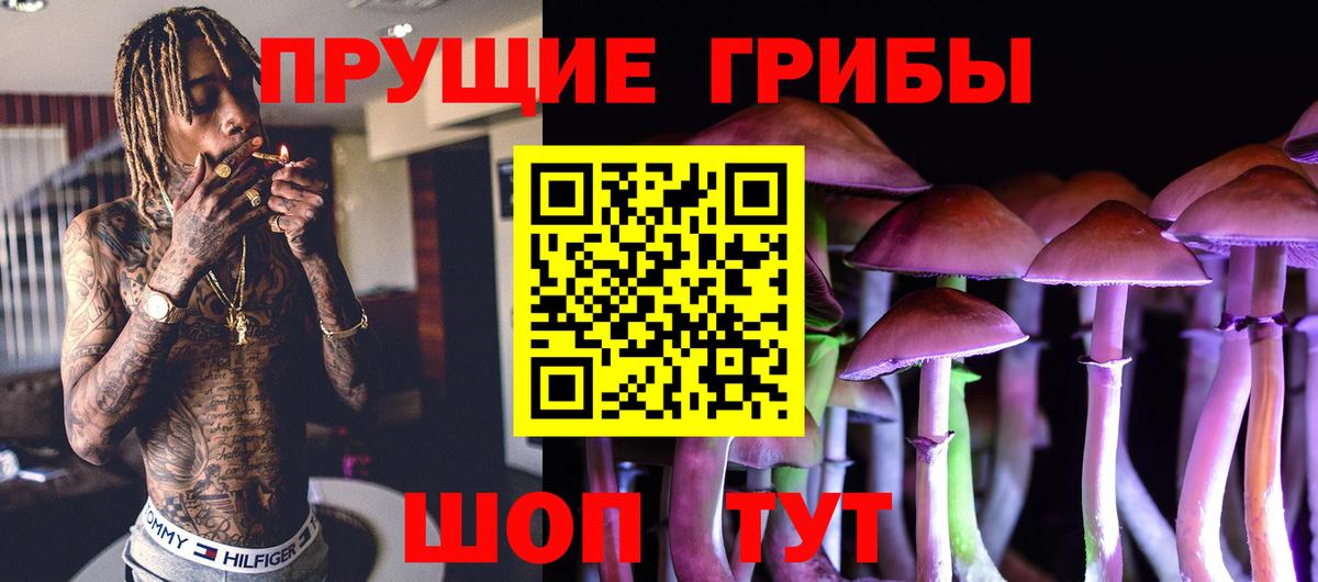 Псилоцибиновые грибы Psilocybine cubensis Сергиев Посад